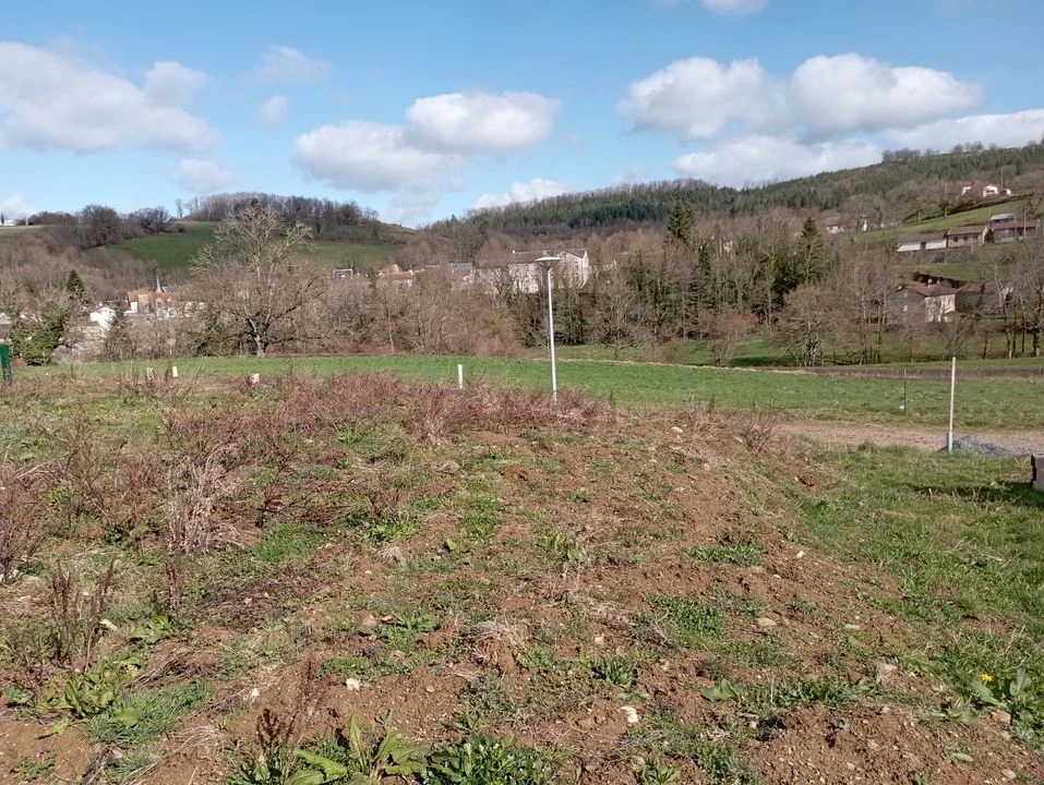plat arbre nature campagne tranquille haie