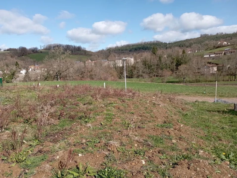 plat arbre nature campagne tranquille haie