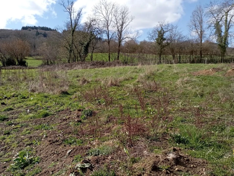 campagne terrain jardin terrain constructible