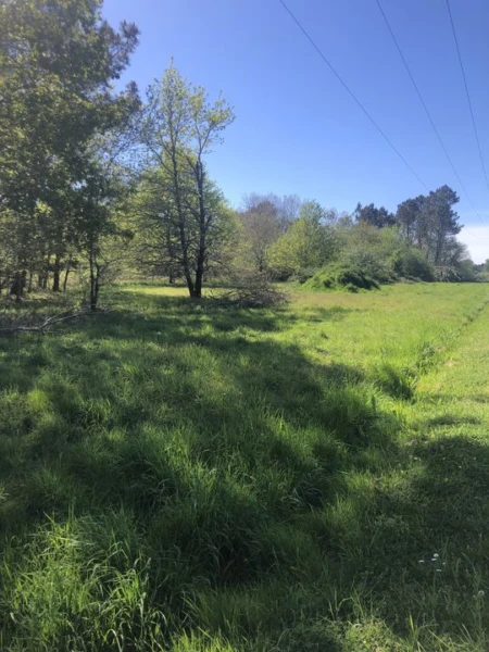 TERRAIN AGRICOLE 21380 m2 GAILLAN-EN-MEDOC