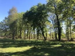 GAILLAN-EN-MEDOC TERRAIN AGRCOLE 46975 m2, CALME