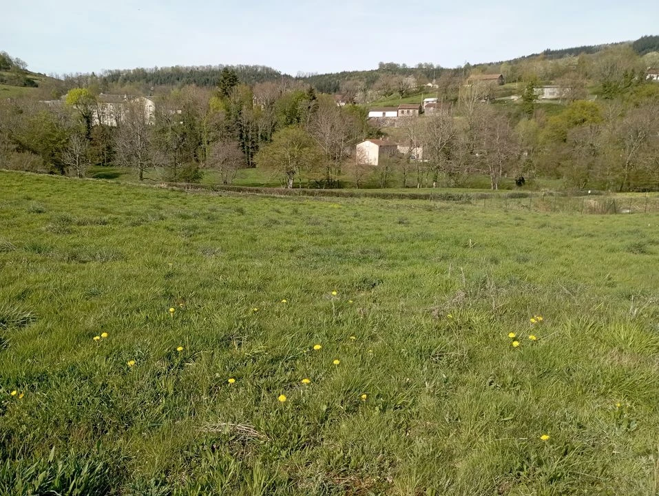 vue imprenable lac plan d'eau baignade