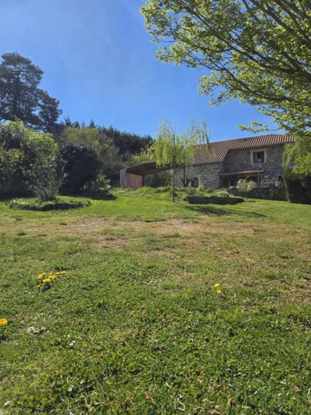 Maison - Maison en pierre - Maison rénovée - Maiso