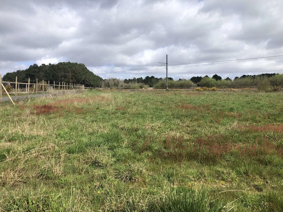 TERRAIN AGRICOLE 1,1 HECTARE AVEC BATIMEN