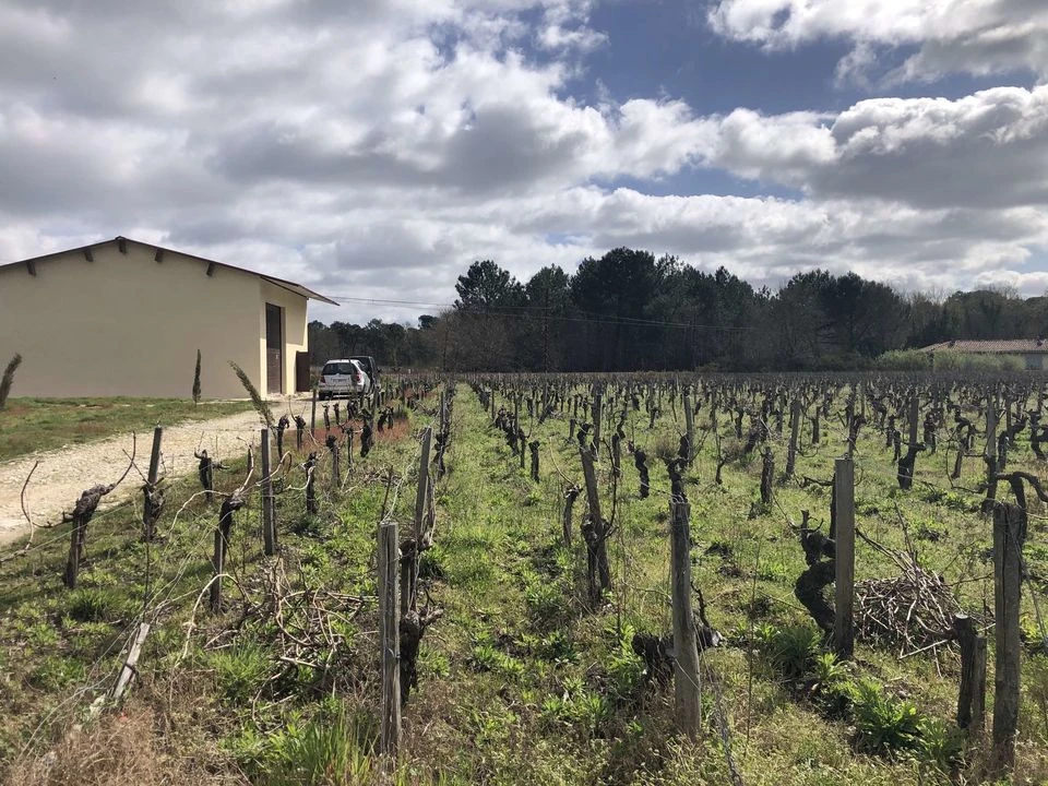 TERRAIN AGRICOLE 1,1 HECTARE AVEC BATIMENT