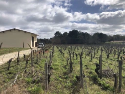 TERRAIN AGRICOLE 1,1 HECTARE AVEC BATIMENT