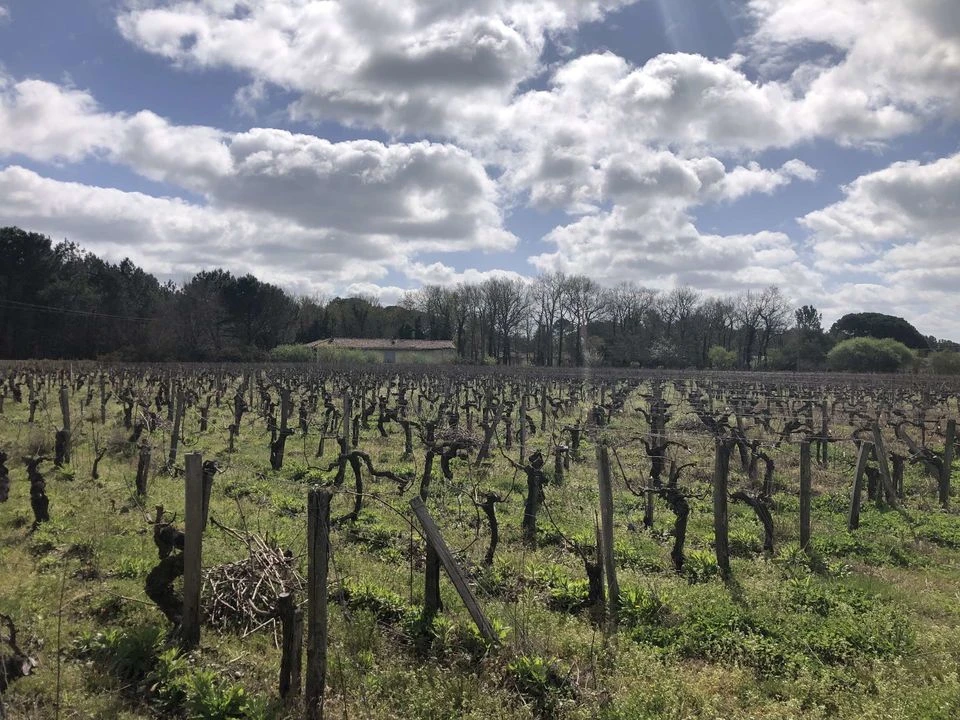 TERRAIN AGRICOLE 1,1 HECTARE AVEC BATIMEN
