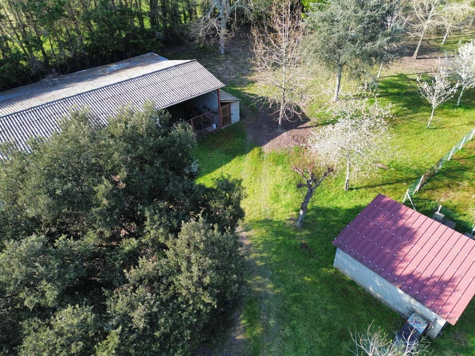 #maison #landes #hangar #dépendance #saint justin
