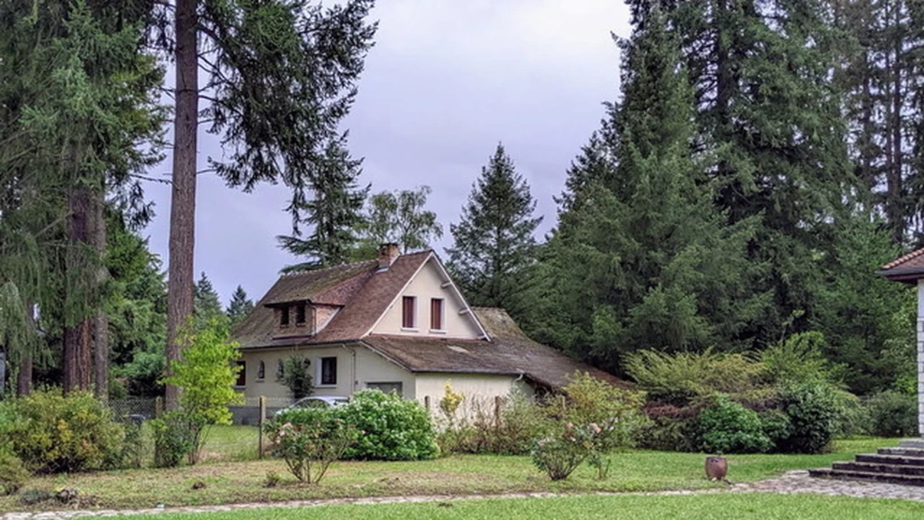 Maison, T6, Golf de limère, Ardon, double garage,
