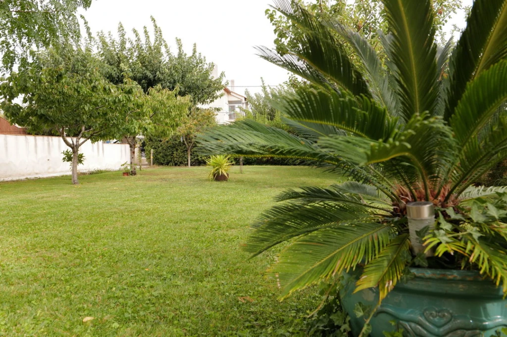 Maison T8 190 m² /jardin 730 m² + dépendance