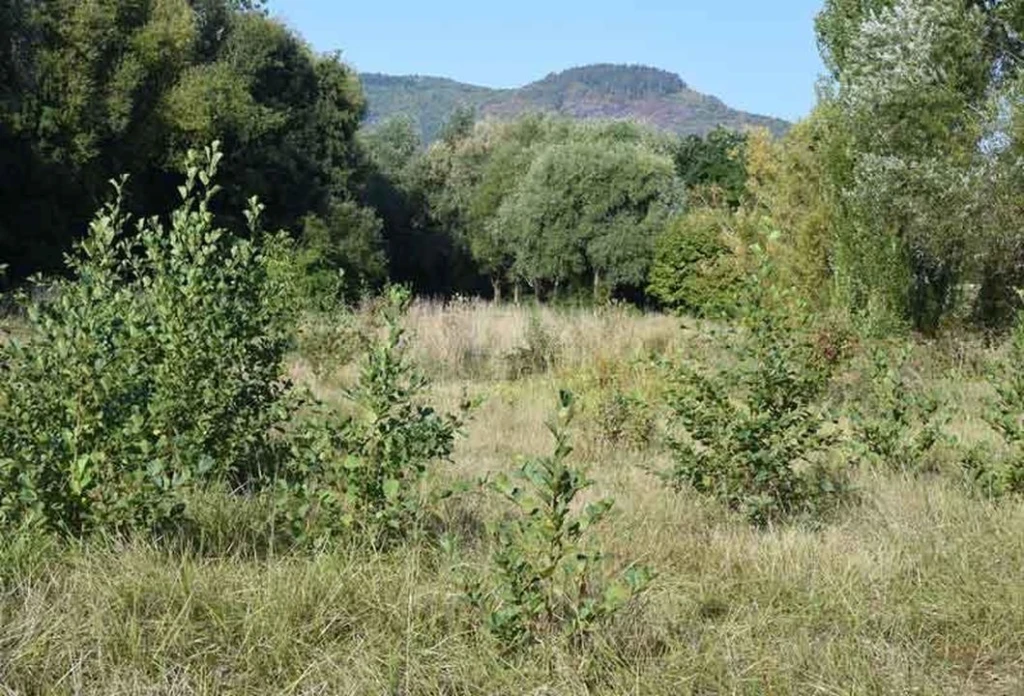 st maximin - terrain agricole - possibilité eau -