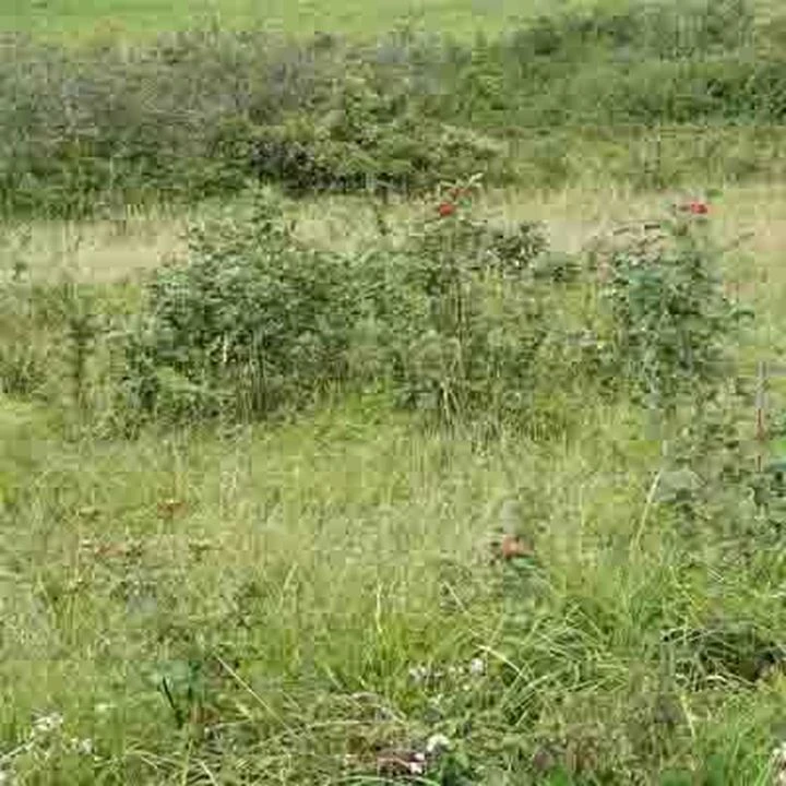 st maximin - terrain agricole - possibilité eau -