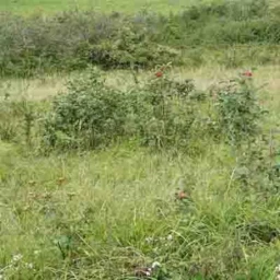 st maximin - terrain agricole - possibilité eau -
