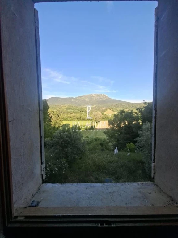 vue du haut