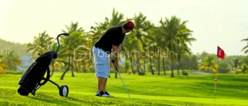 golfeur.jpg