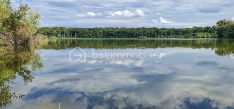 IJsM3M7EMHSYaVvQaXqsmrg81dEGkRbDbCiGklN9.jpg