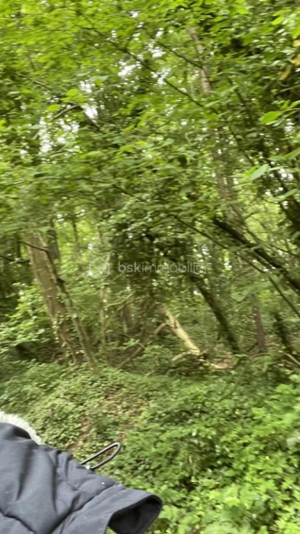 Lcaj3hSjObLrI36RNlNNvxEjbaHYGbCOvIDB3xXq.jpg