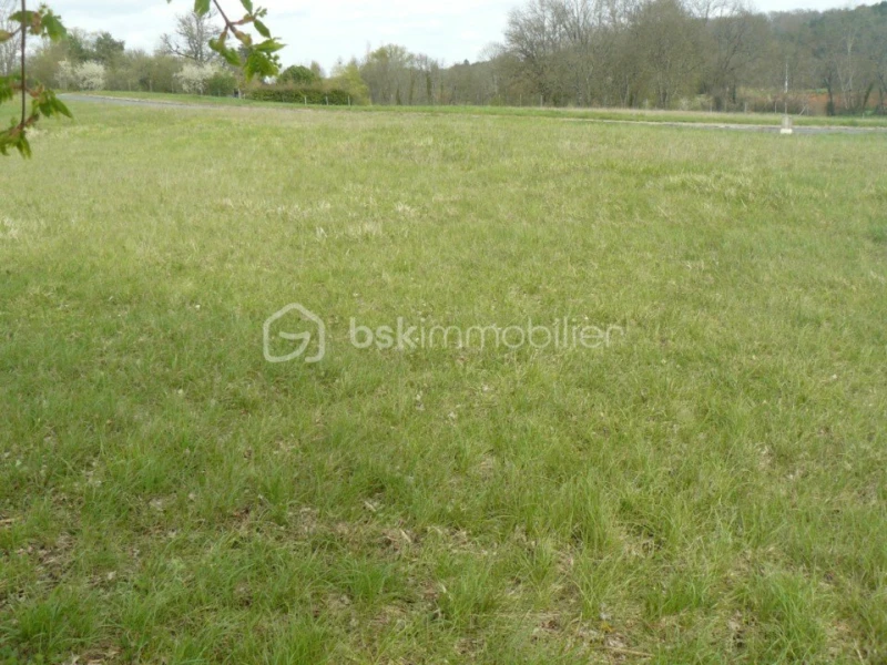 terrain_1_5.jpg