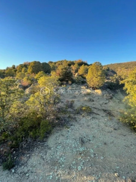 terrain_a0815_plat_canigou_vue.jpg