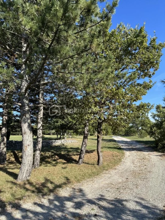 at87ba7P01rhvLQoASMq6OdQgFMuqK857FQCdbja.jpg