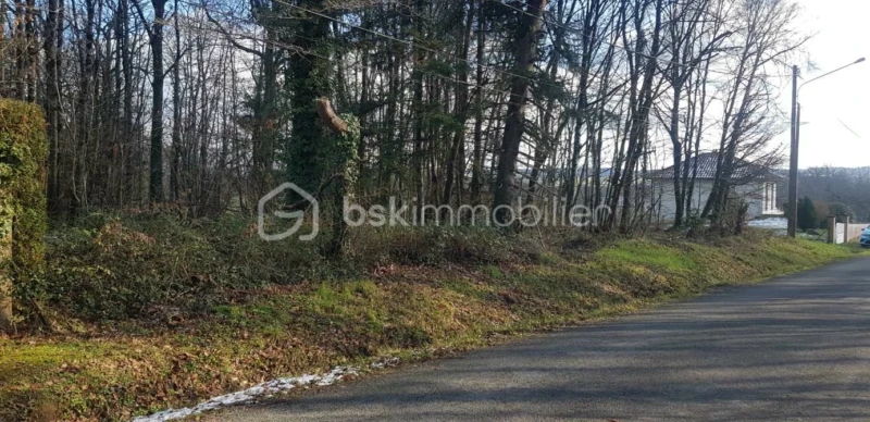 evifsSgCFuX1jq6fY1TxyB97OIDm7pRIfI3vEKgt.jpg