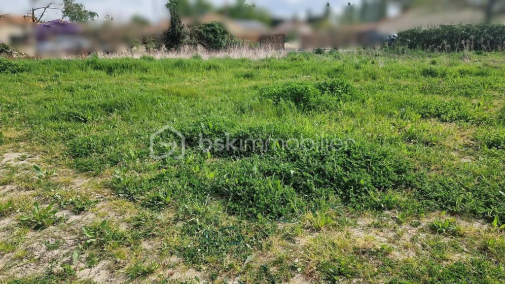 UOgB81WPph0TQbNp9Puzk2gu8xOmwbgC12hoUlpD.jpg