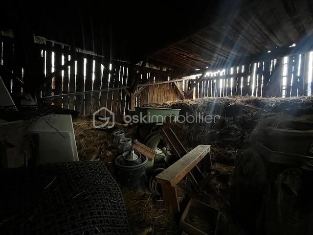jfO0orxRRR48TBy0kPt4fObpYUmLzXn032WbqZLI.jpg