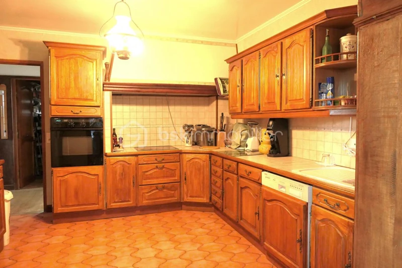 rOMARuD6TIejJ1Ppm6Ntd8kEhX2EeTq5gDW6qkvY.jpg
