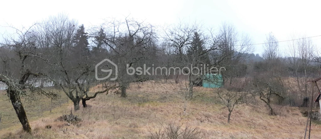 uzyVZLIU3HBarx6PeE67oKHr6RpTXZz6urFRLOqk.jpg