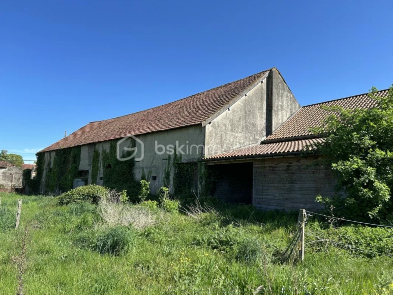 g9QUFujFDAPu8DDkL8Zqp0zwr0gnVBiiyveI4x0m.jpg