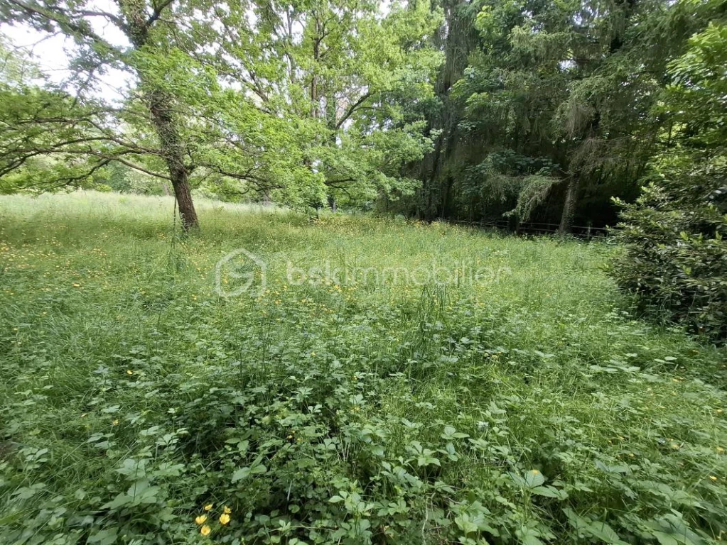 wr3y2oCXuSPbVRPpZFhIQcwhM6hKkia43pstrZQw.jpg