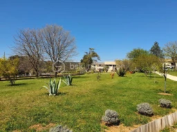 RG82ykLIP47853xXnxEdiOBxQla1nbzht01kJqcg.jpg