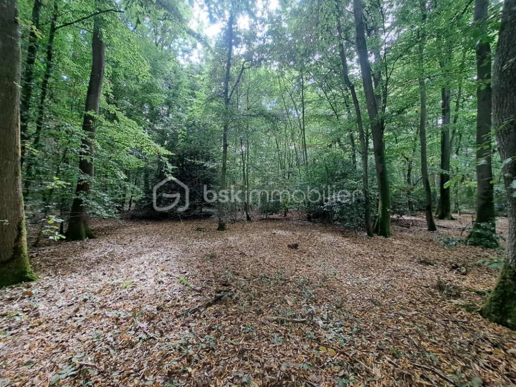 HCP8g07Sv6Bou9Qd6RAv6kT4wOQLhhsS5DvqkAAg.jpg