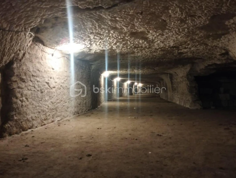 bWVYwIrrSC28qmmeIz4NXxwk3TTJJa0IcDspdReA.jpg