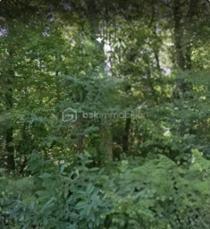 C5DGHTULmkmIcX37yRDo4ospDXZYas5PzLm31tcB.jpg