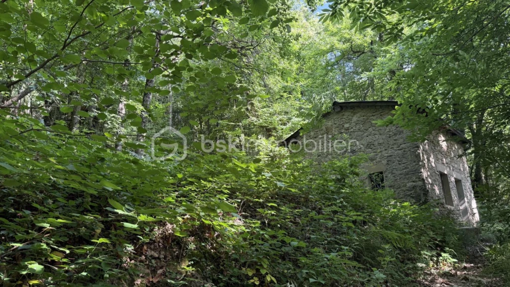 4OGSJMEpYZuLCEQ3oeBoZU52oQ8NarQLFzXaclkQ.jpg