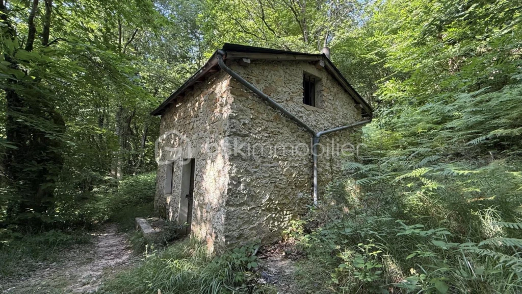 qJGaciCcHcGfc1l91CXwv72ZDeJouZSJNNyWilm8.jpg