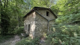 qJGaciCcHcGfc1l91CXwv72ZDeJouZSJNNyWilm8.jpg