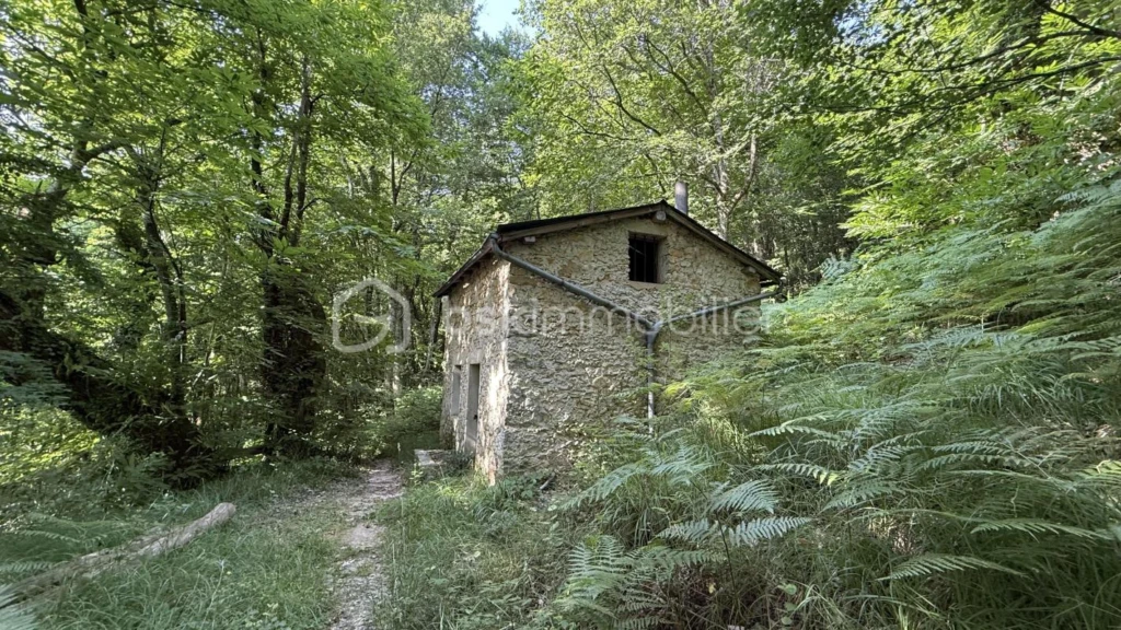 GdsxdeuES0660MSraTZ0mIBq7C1tqIR43dgOLWrr.jpg