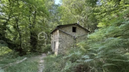 GdsxdeuES0660MSraTZ0mIBq7C1tqIR43dgOLWrr.jpg
