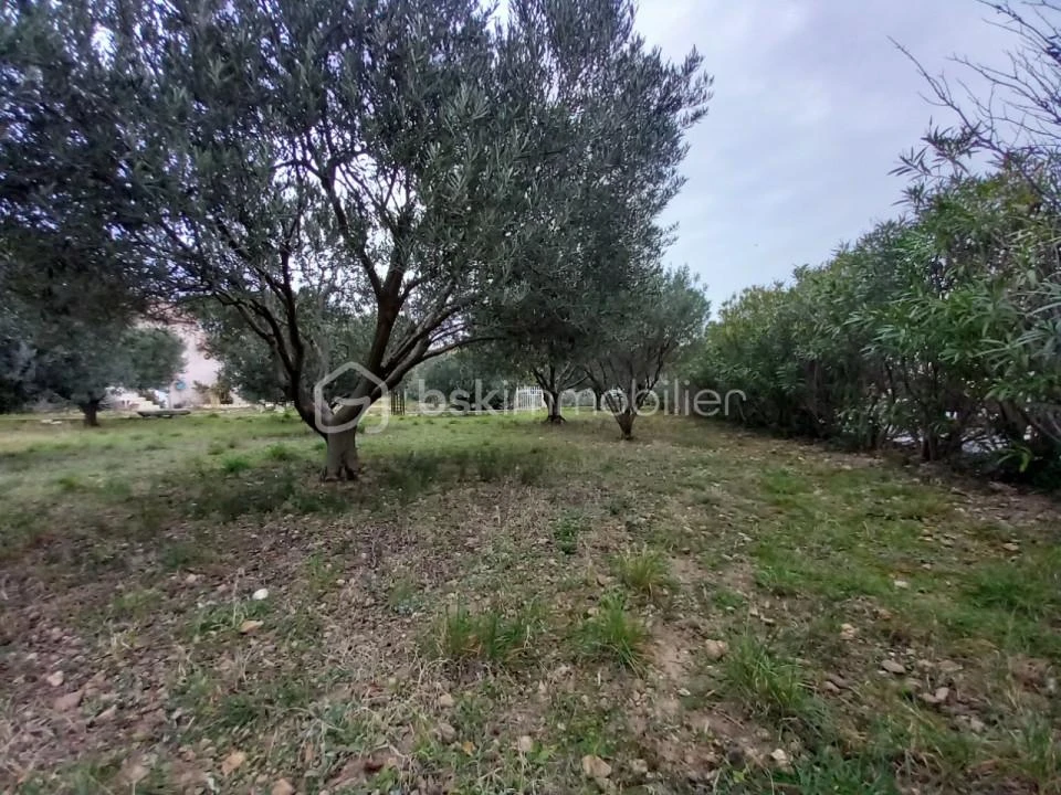 wi6iagqiP3NB0TRY5AyZwQH6tmnG3cvX8Y8UzwCN.jpg