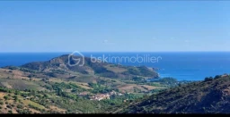 t4ZpEOLs5cp4k4pwAKFu6ri6jP0pUt22KYAaz11w.jpg