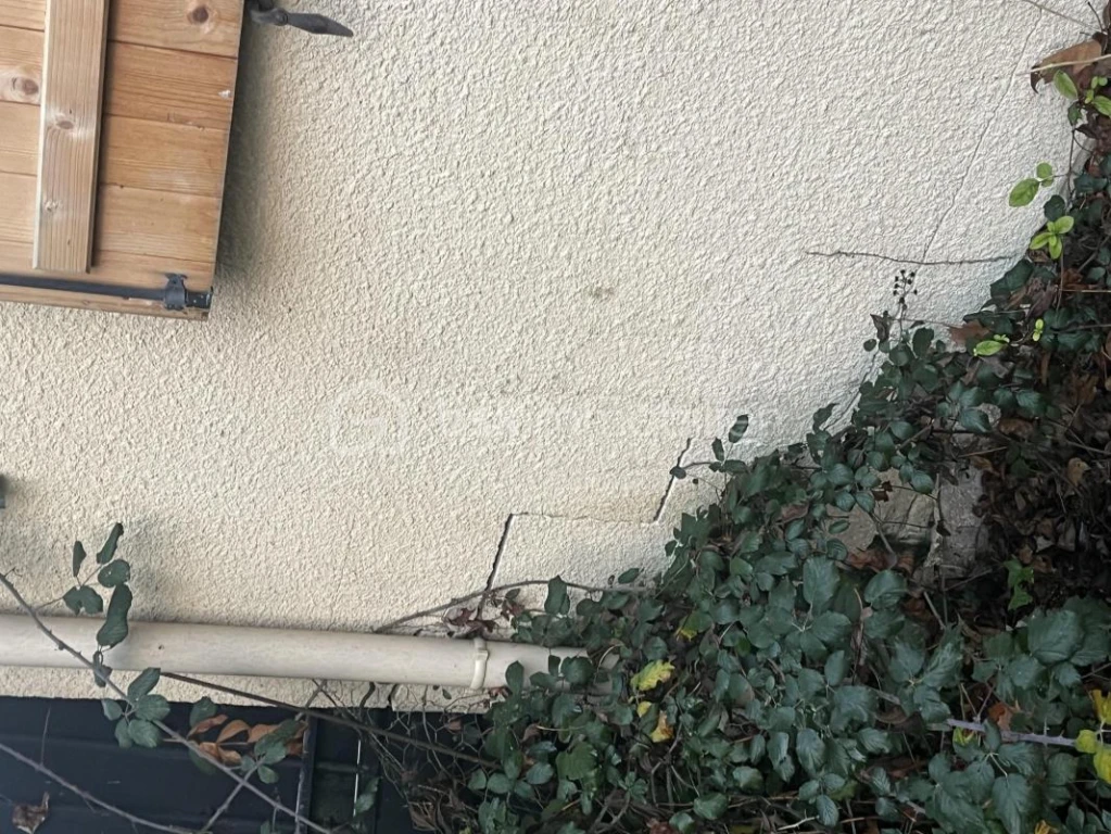 g8DYNkZpEYaBJ96mMrfnw4lJHFraKTNrOyrzx2nL.png