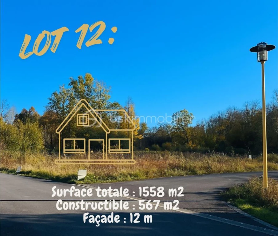 2NdwM18O1arfo3qni4THvVg4Km2IKEG668bsft5R.jpg