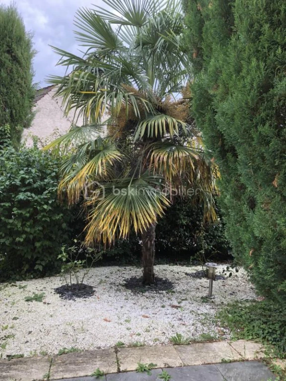 AL58ihPuzESnVWX2lNm2Wf6f86BJwfv0uQVprOsN.jpg