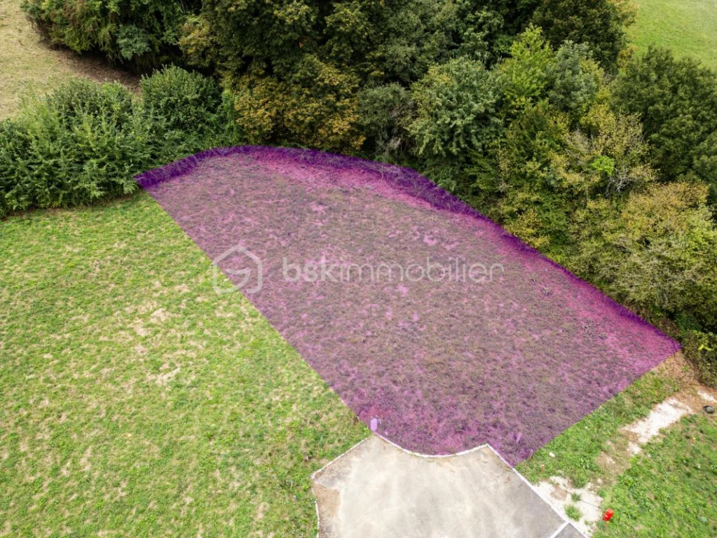 lg5kU2TYewTxplZfa8CkXOG9p1gbrATsfTqijN8G.jpg