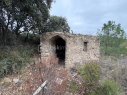 hQ2mDCQb23Um8ae3aRq17Y7bCO6lUbR1jRRJOodV.jpg