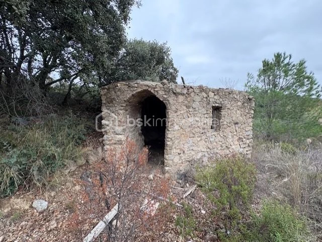 hQ2mDCQb23Um8ae3aRq17Y7bCO6lUbR1jRRJOodV.jpg