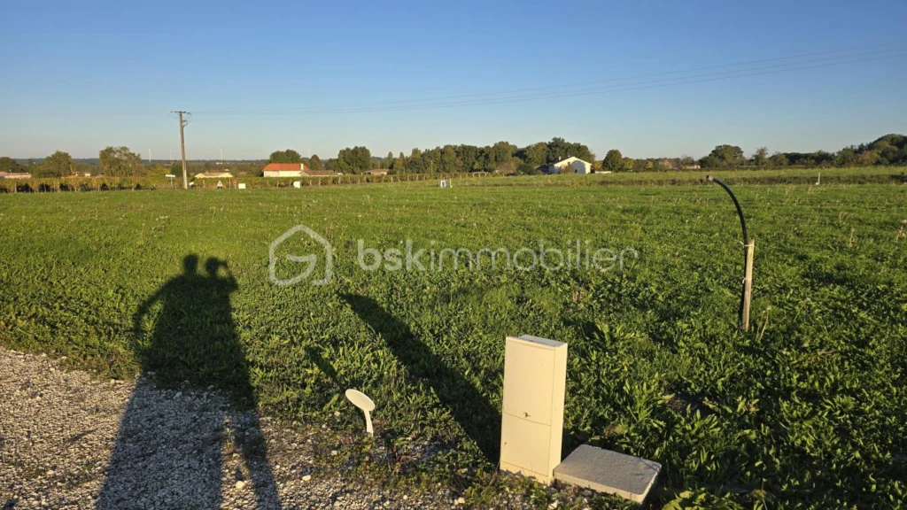 SZI5Lr7ri2cTq5CPN3OU687tlFSNAZd85MwSRjs5.jpg