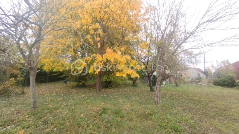 L2dPiwsPMPAiVf55dQb9sOK6lPUzVAhM5h0KOhYF.jpg